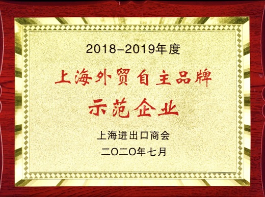 ag亚娱集团 荣誉奖牌